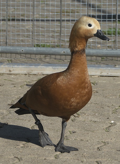 动引发关注