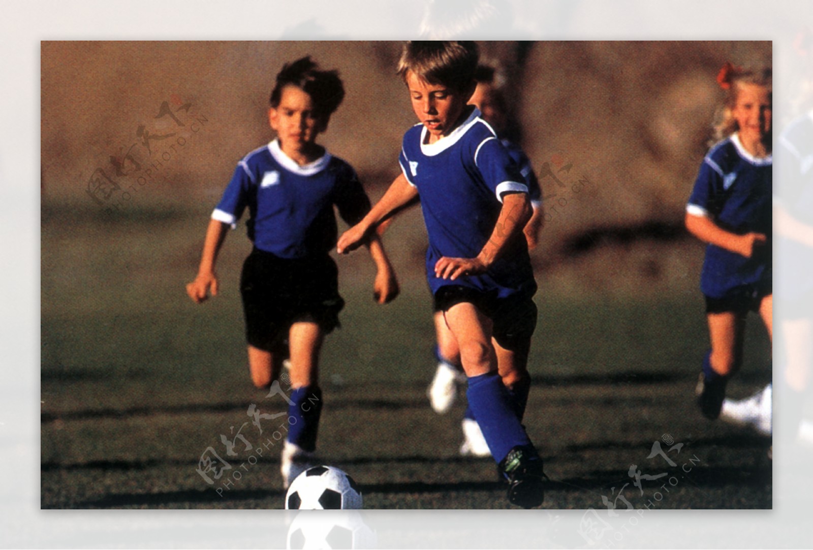 寄望于菲利 寄望于菲利