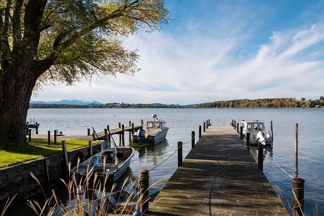 仅是展现实 仅是展现实